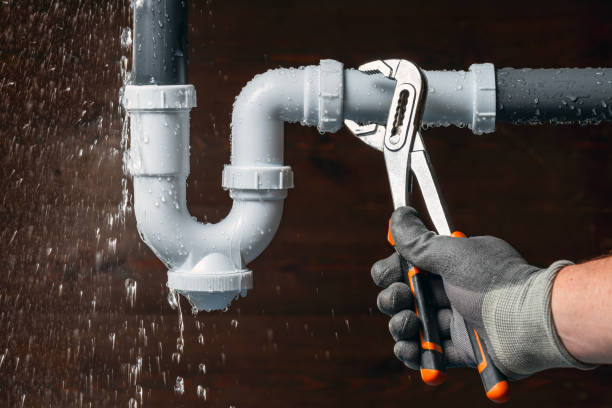 Professional Plumbing technician working in Mount Auburn, IL